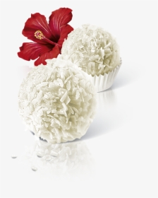 Raffaello Flower, HD Png Download, Free Download