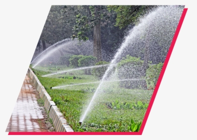 Water Sprinklers In Garden, HD Png Download, Free Download