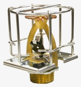 Trophy, HD Png Download, Free Download