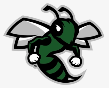 Fayetteville Manlius High School Logo, HD Png Download, Free Download