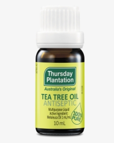 Transparent Tea Tree Png - Thursday Plantation 100% Pure Tea Tree Oil, Png Download, Free Download