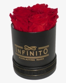 Infinito Petite Round Box - Garden Roses, HD Png Download, Free Download