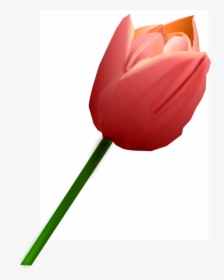 Plant,flower,petal - Tulipan Rosa Png, Transparent Png, Free Download