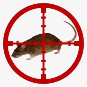 Rodents - Cross Hairs Clip Art, HD Png Download, Free Download