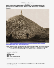 Buffalo Skulls At Michigan Carbon Works, HD Png Download, Free Download