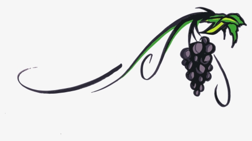 Transparent Grape Vine Png, Png Download, Free Download