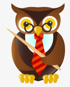 Owl Student Teacher Cartoon Clip Art - Cartoon Harry Potter Owl, HD Png Download, Free Download