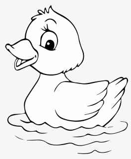 Duck Cartoon Coloring Page Free Printable - Duck Images For Drawing, HD Png Download, Free Download
