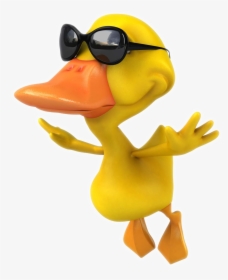 Pictures Photography Mallard Duck Cartoon Stock Clipart - Flying Duck With Sunglasses, HD Png Download, Free Download