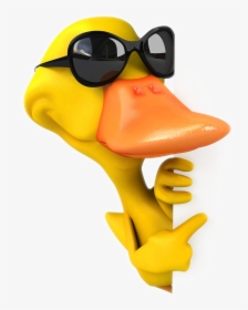 Pictures Illustration American Pekin Duck Cartoon Stock - Duck With Sunglasses Clipart, HD Png Download, Free Download
