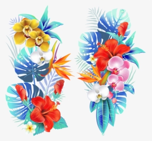 Tropical-3652557 1920, HD Png Download, Free Download