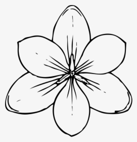 Free Printable Flower Stencil Templates - Day Of The Dead Flowers Drawing, HD Png Download, Free Download
