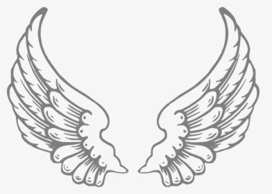 Thumb Image - Angel Wings, HD Png Download, Free Download