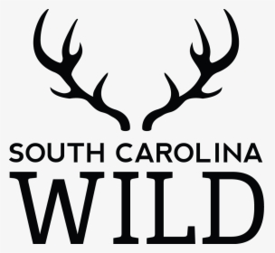 South Carolina Department Of Natural Resources Deer - South East Europe Programme, HD Png Download, Free Download
