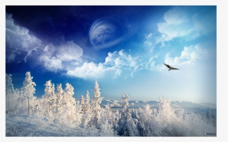 #snow #winter #background - Hawk In A Landscape, HD Png Download, Free Download