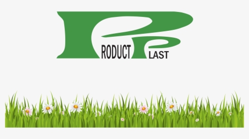 Empresa Dedicada A La Manufactura De Productos Plasticos - Green Grass Background Png, Transparent Png, Free Download