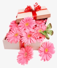 #pink #flowers #box #gift #valentine #flower #present - Barberton Daisy, HD Png Download, Free Download