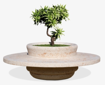 Planter With Bench Giza Model Made In Cls - Bonsai, HD Png Download, Free Download