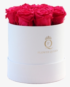 Fuchsia Roses In Medium White Box - Garden Roses, HD Png Download, Free Download