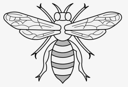 Bee Traceable Heraldic Art Honey Bee Hive Clip Art - Traceable Bee, HD Png Download, Free Download