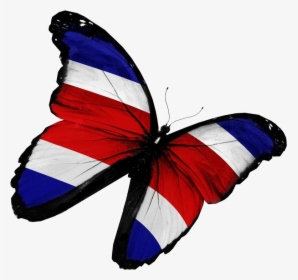 Felices Fiestas Patrias - Mariposa Bandera Costa Rica, HD Png Download, Free Download