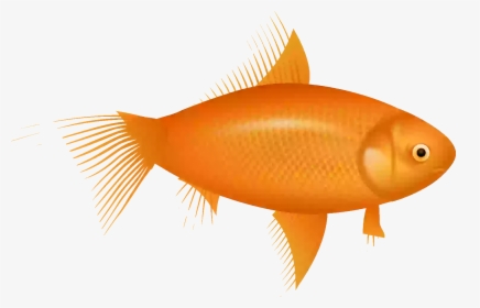 Example Image Of A Fish - Red Fish Clipart, HD Png Download, Free Download