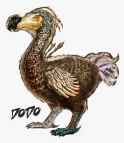 Png Dodo Pluspng - Ark Survival Evolved Dodo Png, Transparent Png, Free Download