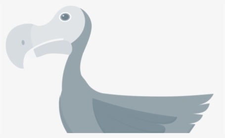   - Dodo, HD Png Download, Free Download