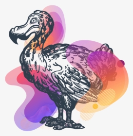 Dodo Images Black And White, HD Png Download, Free Download