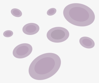 Illustration Of Red Blood Cells - Circle, HD Png Download, Free Download