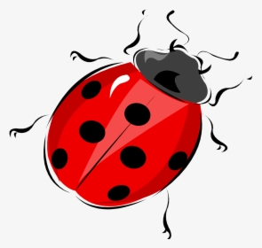 Crickets Class Led By Mrs Haizel, Mrs Dawson And Mrs - Diagram Lady Bird Beetle, HD Png Download, Free Download