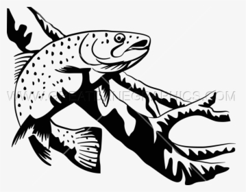 Transparent Fish Clipart Black And White - Black And White Trout Clipart, HD Png Download, Free Download