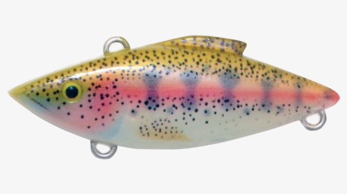 Transparent Rainbow Trout Png - Trout, Png Download, Free Download