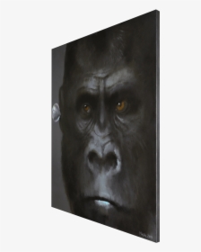 Gossip I - Nobig - Art - Monkey, HD Png Download, Free Download