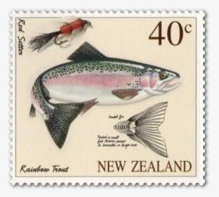 Rainbow Trout In Stamps, HD Png Download, Free Download