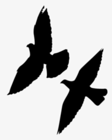 Doves Flying Png Hd Image, Transparent Doves Flying - European Swallow, Png Download, Free Download