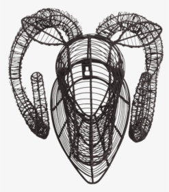 Eh Wb - Nkuku Wire Head, HD Png Download, Free Download