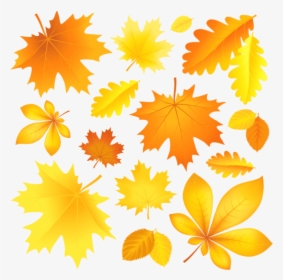 Download Transparent Fall Leaves Picture Clipart Png - Cartoon Images Of Autumn Leaves, Png Download, Free Download