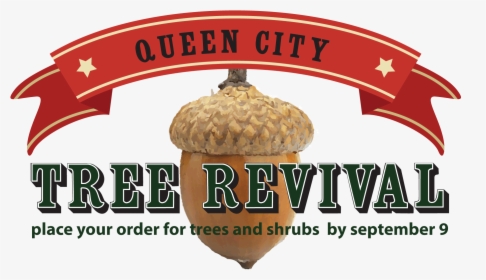 Queen City Tree Revival - Graphic Design, HD Png Download, Free Download