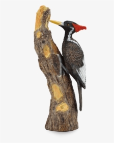 Pileated-woodpecker - Ivory Billed Woodpecker Toy, HD Png Download, Free Download