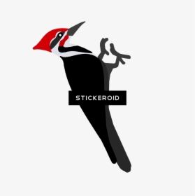 Transparent Woodpecker Png - Ivory-billed Woodpecker, Png Download, Free Download