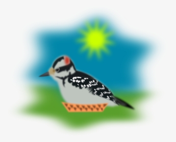 Downy Woodpecker, HD Png Download, Free Download