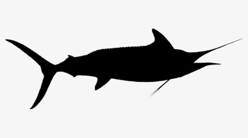 Black Strip Fish Transparent Background - Swordfish, HD Png Download, Free Download