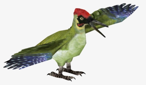 European Green Woodpecker - Parrot, HD Png Download, Free Download