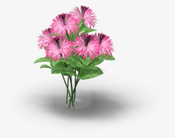 Vase With Flowers - Dianthus, HD Png Download, Free Download