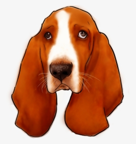 27 Why Are You A Basset Hound , Png Download - Basset Hound 4k, Transparent Png, Free Download