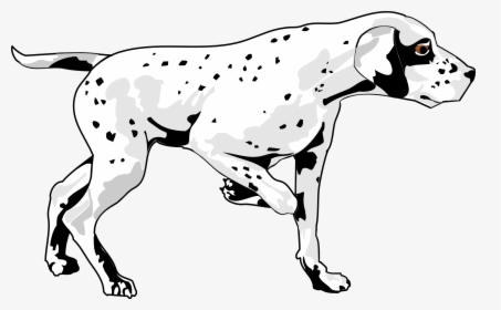 Basset Hound Dalmatian Dog Puppy Pet - Imagen De Un Perro Caminando, HD Png Download, Free Download