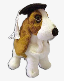 Graduation Hushpuppy Basset Hound Puppy Dog  Introduced - Cuddly Collectibles Dog, HD Png Download, Free Download