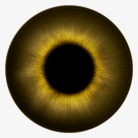 Eye Pupil Transparent Background Png - Eye Pupil Transparent Background, Png Download, Free Download
