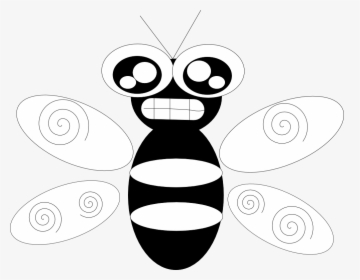Insect, HD Png Download, Free Download